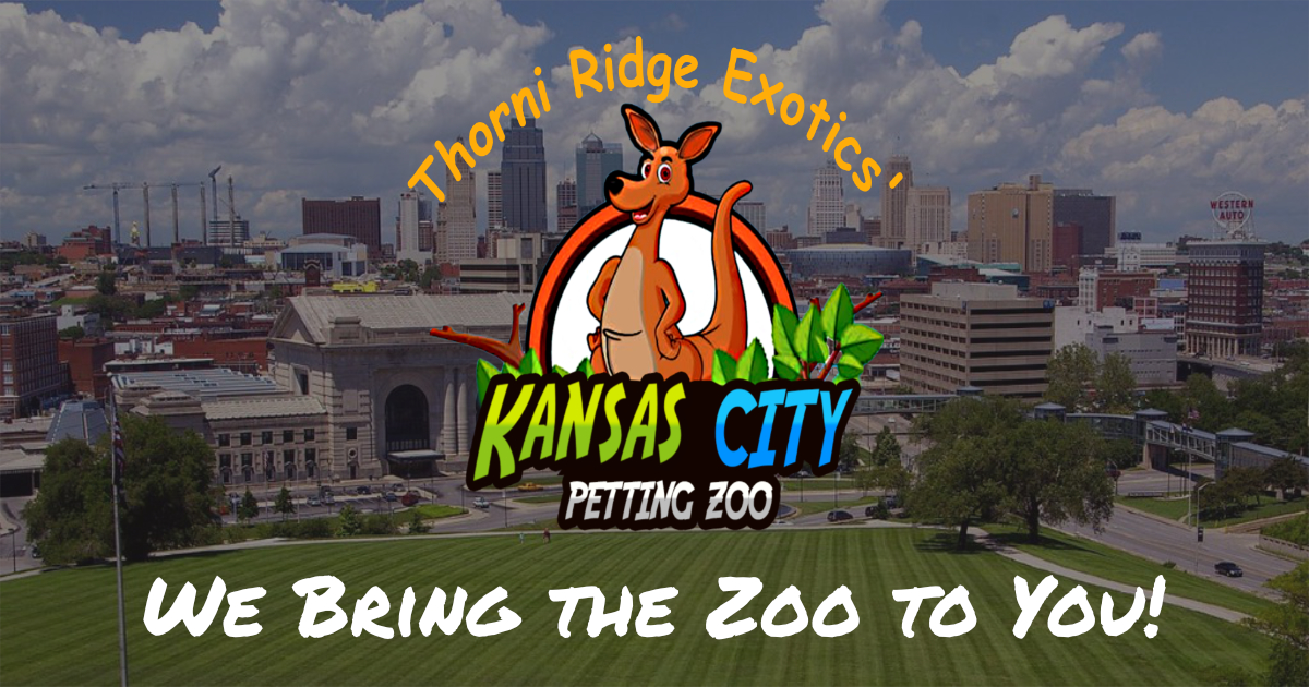 Mobile Petting Zoo - Kansas City Petting Zoo