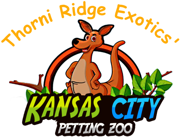 Mobile Petting Zoo - Kansas City Petting Zoo