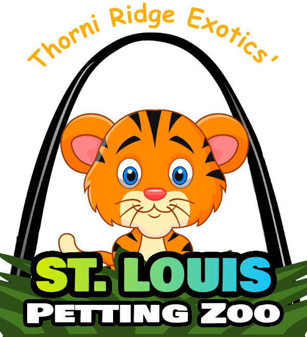 St Louis Petting Zoo