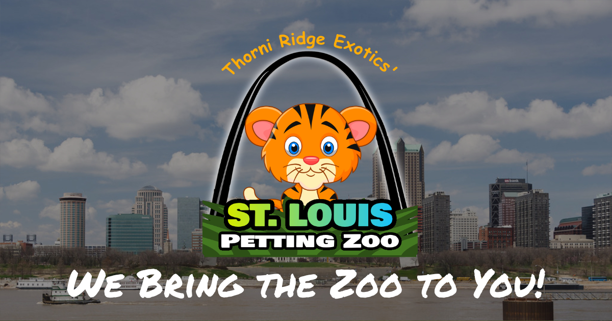 Mobile Petting Zoo - St Louis Petting Zoo