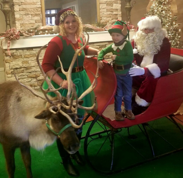 Reindeer rentals